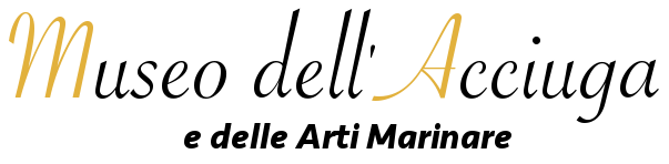 acciuga